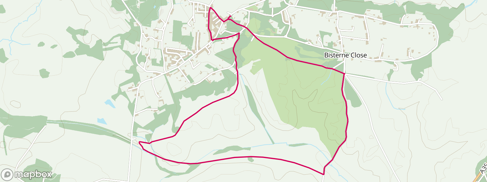 Burley, New Forest & Castleman's Corkscrew Loop