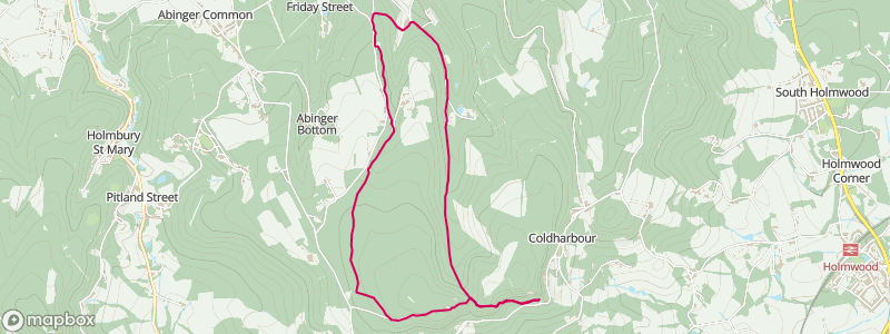 Leith Hill | Leith Hill and Wotton Common