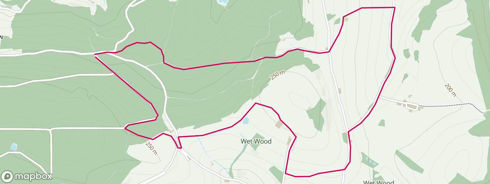 Chepstow Park Wood-Gaer Hill-Fedw Wood...